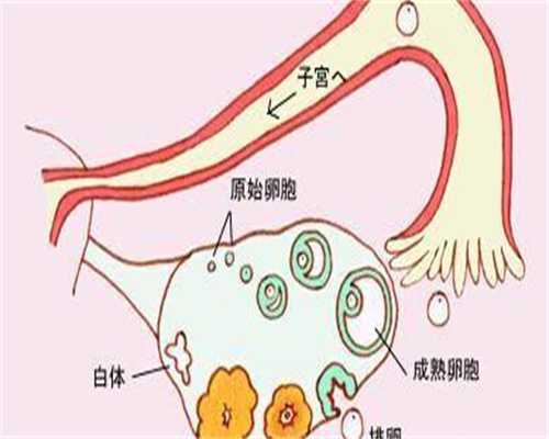 辅助生殖科普